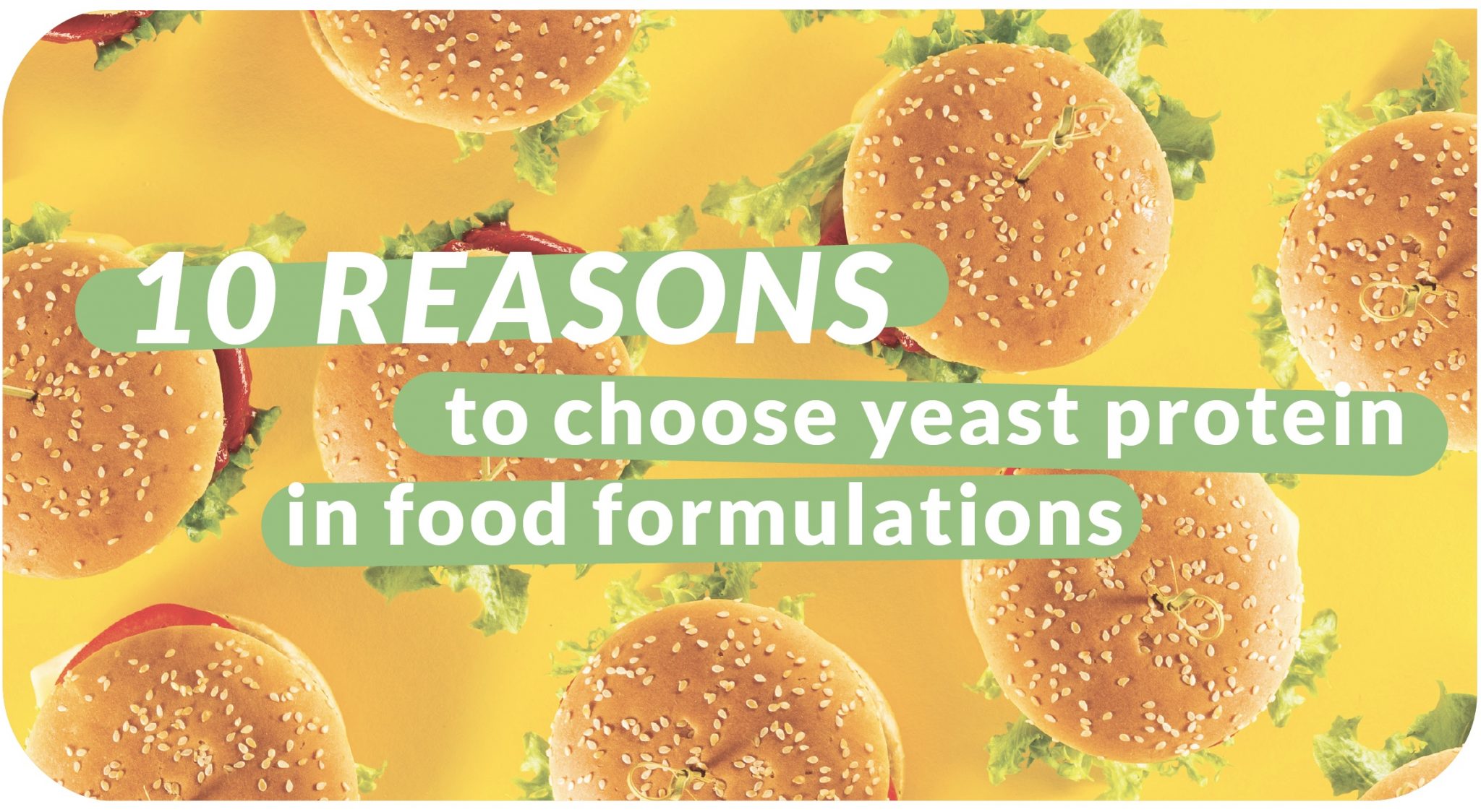 10 reasons to choose yeast protein in food formulations