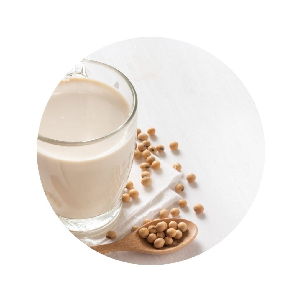 Plant-based Patty Wheat & Pea Protein Plant-based Patty Wheat & Pea Protein
