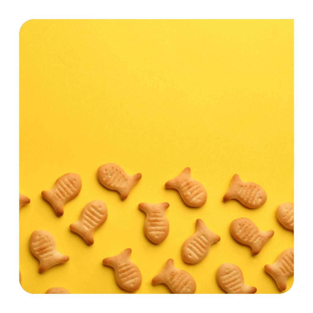 fish Crackers savoury crackers