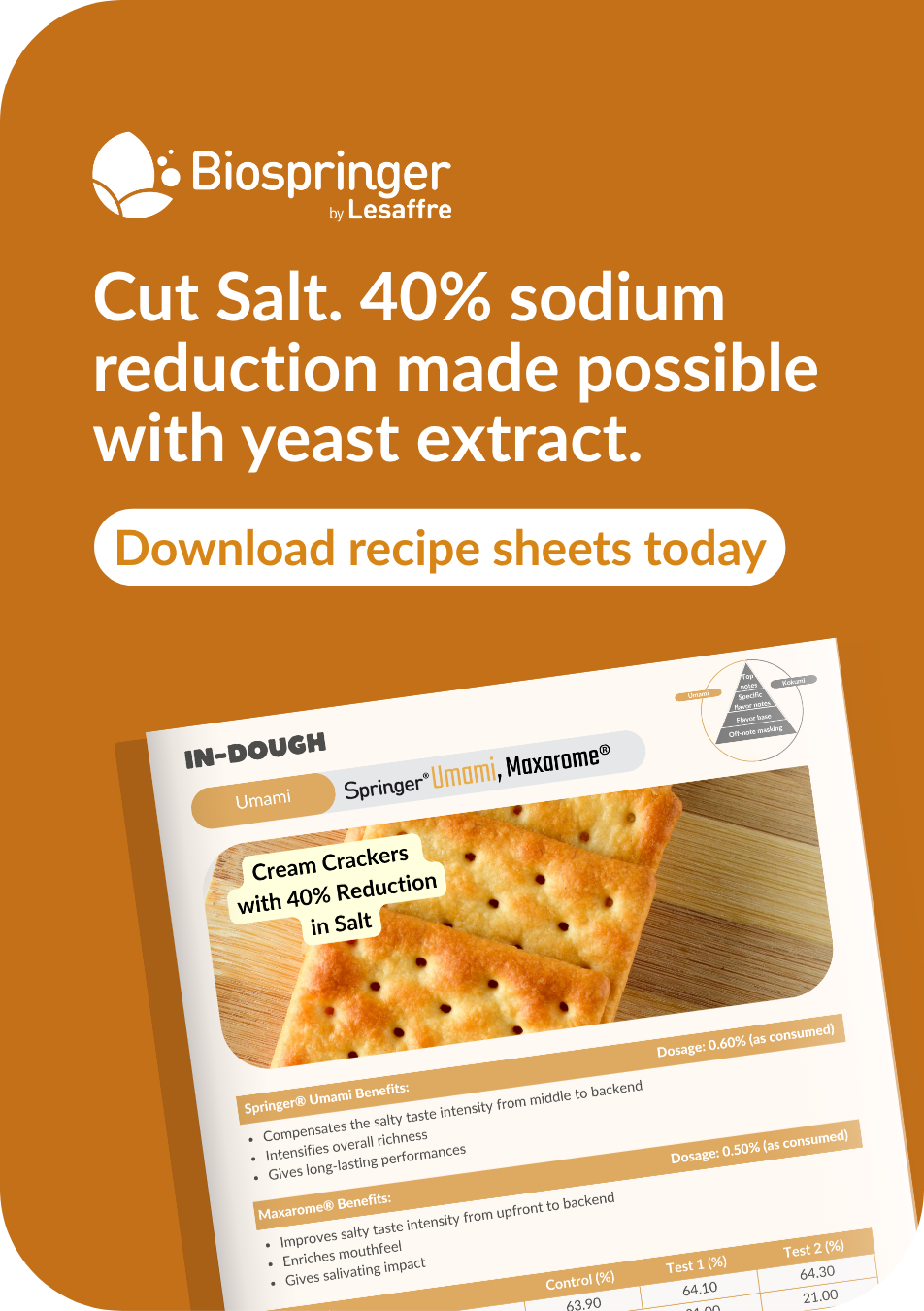 reduce salt by 40% in cream crackers using yeast extract