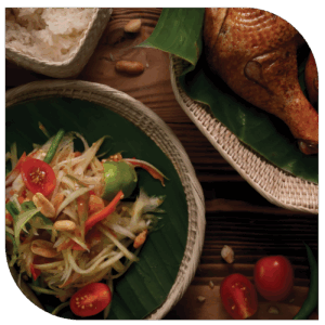 Thailand_biospringer