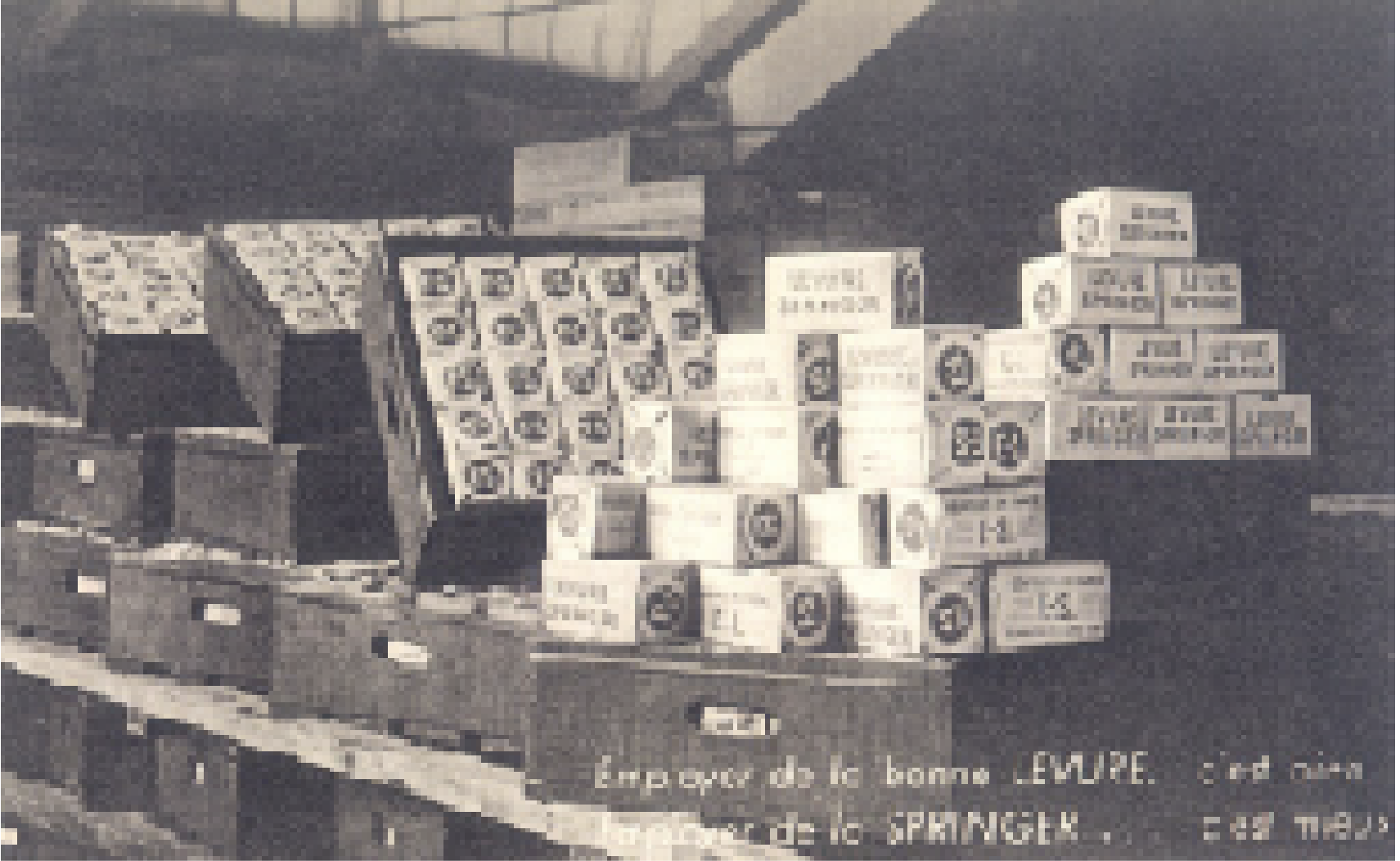 Cubes de bouillon enrichis en levure, 1880