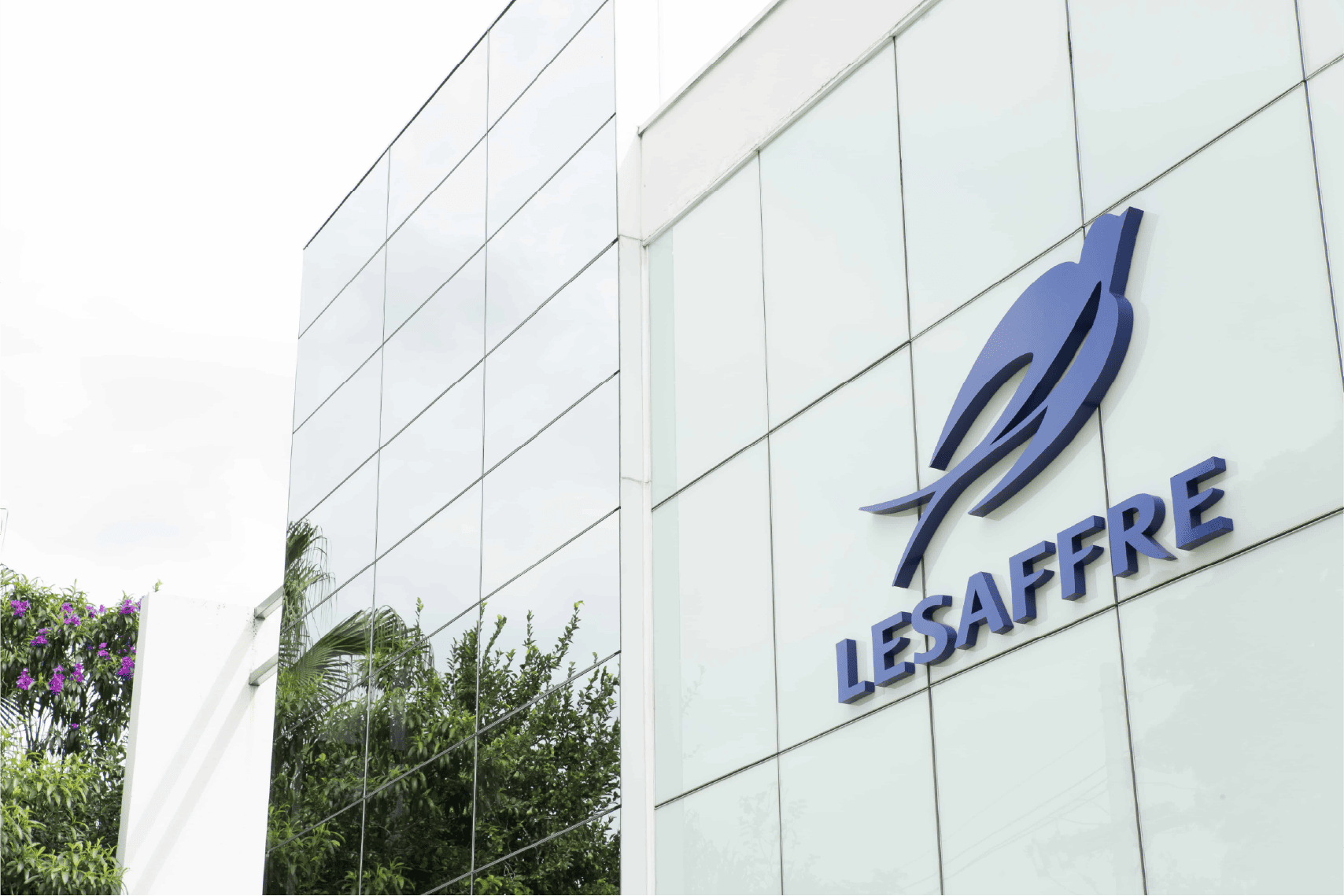 Op&eacute;rations Biospringer en Am&eacute;rique du Sud, 2001